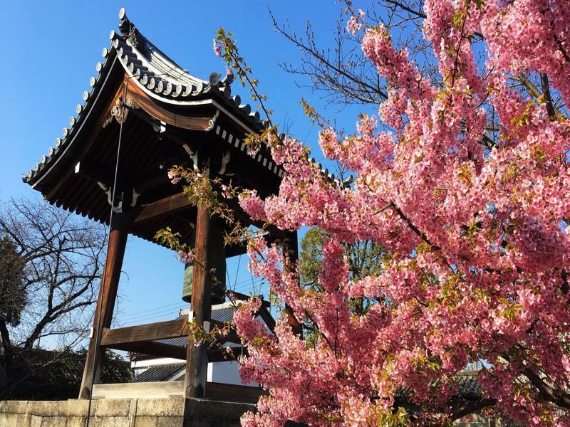 Stay Sakura Kyoto Toji West I Buitenkant foto