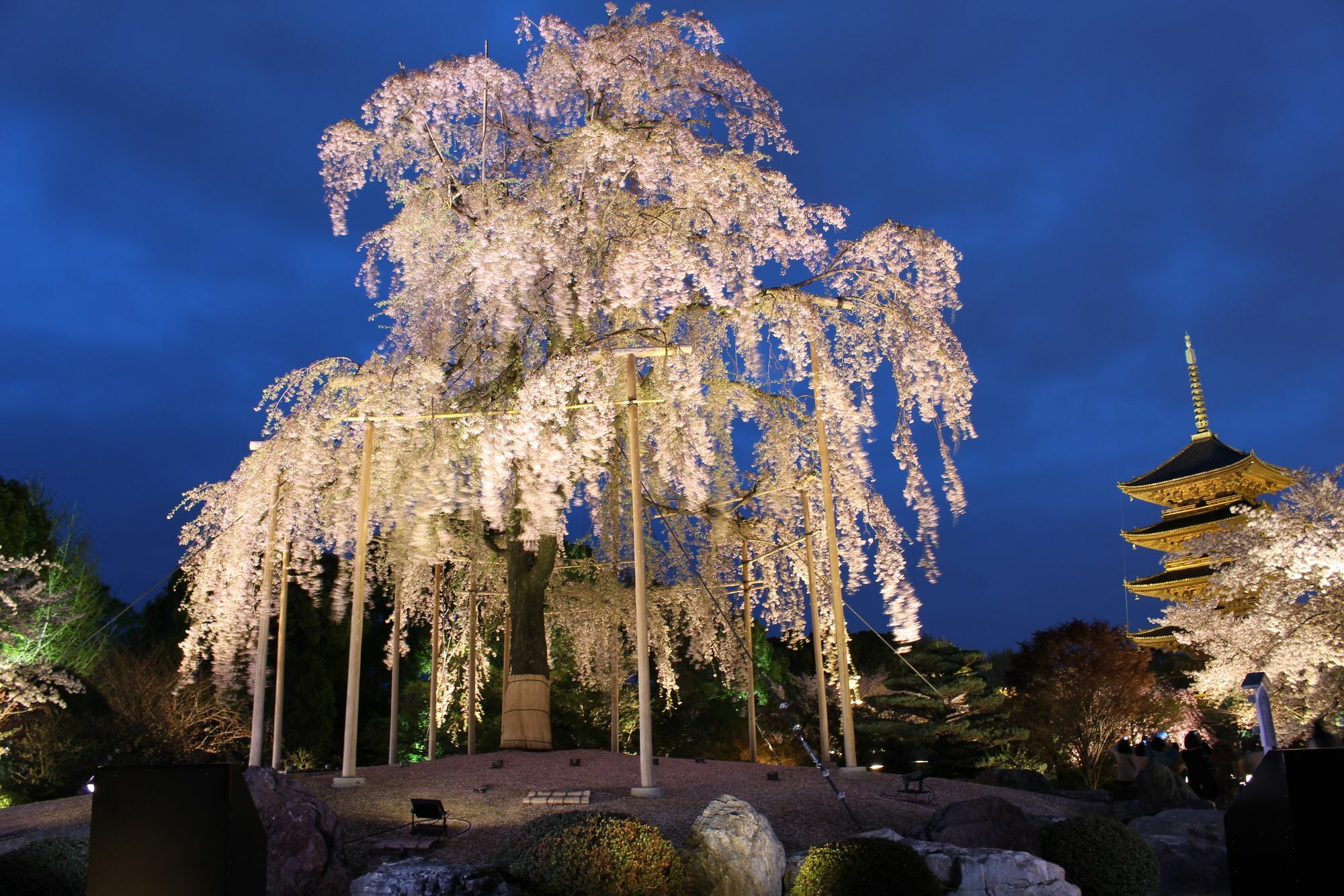 Stay Sakura Kyoto Toji West I Buitenkant foto