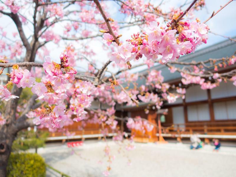 Stay Sakura Kyoto Toji West I Buitenkant foto