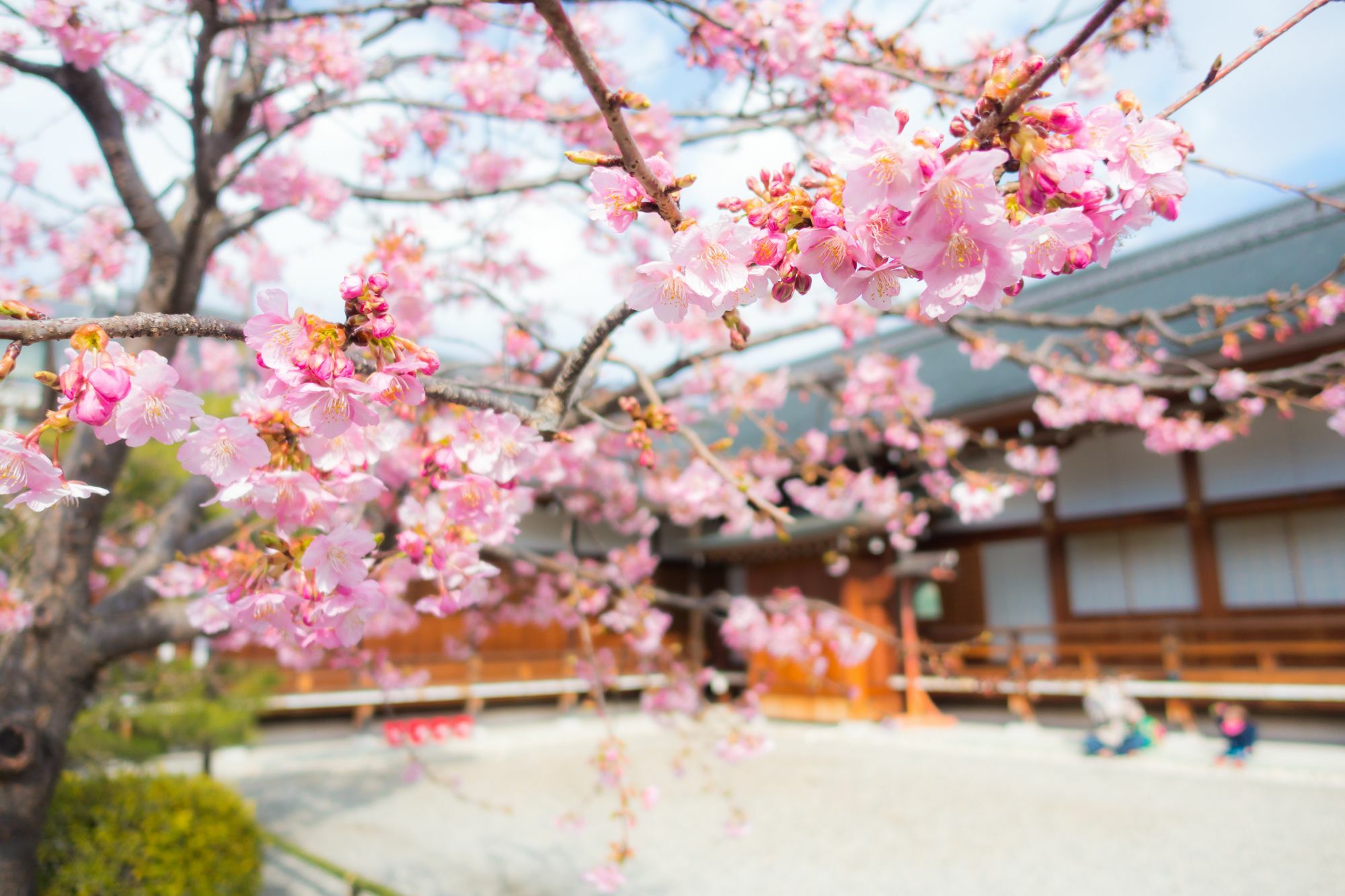 Stay Sakura Kyoto Toji West I Buitenkant foto